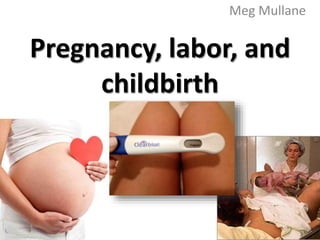 Pregnancy, labor, and
childbirth
Meg Mullane
 