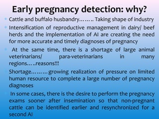 Pregnancy markers for early pregnancy diagnosis