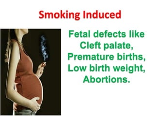 Smoking Induced
Fetal defects like
Cleft palate,
Premature births,
Low birth weight,
Abortions.

 