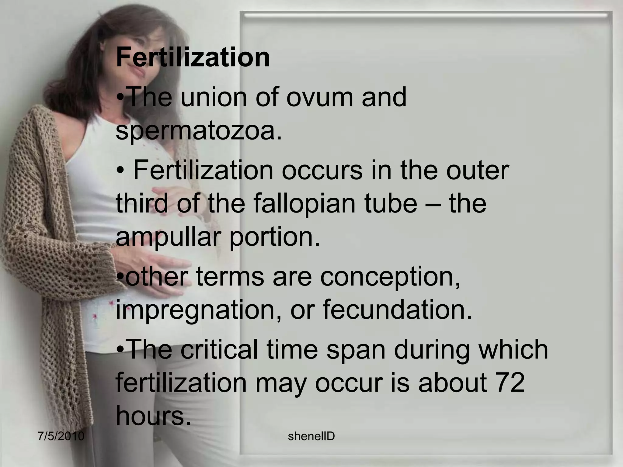 Fertilization The union of ovum and spermatozoa.