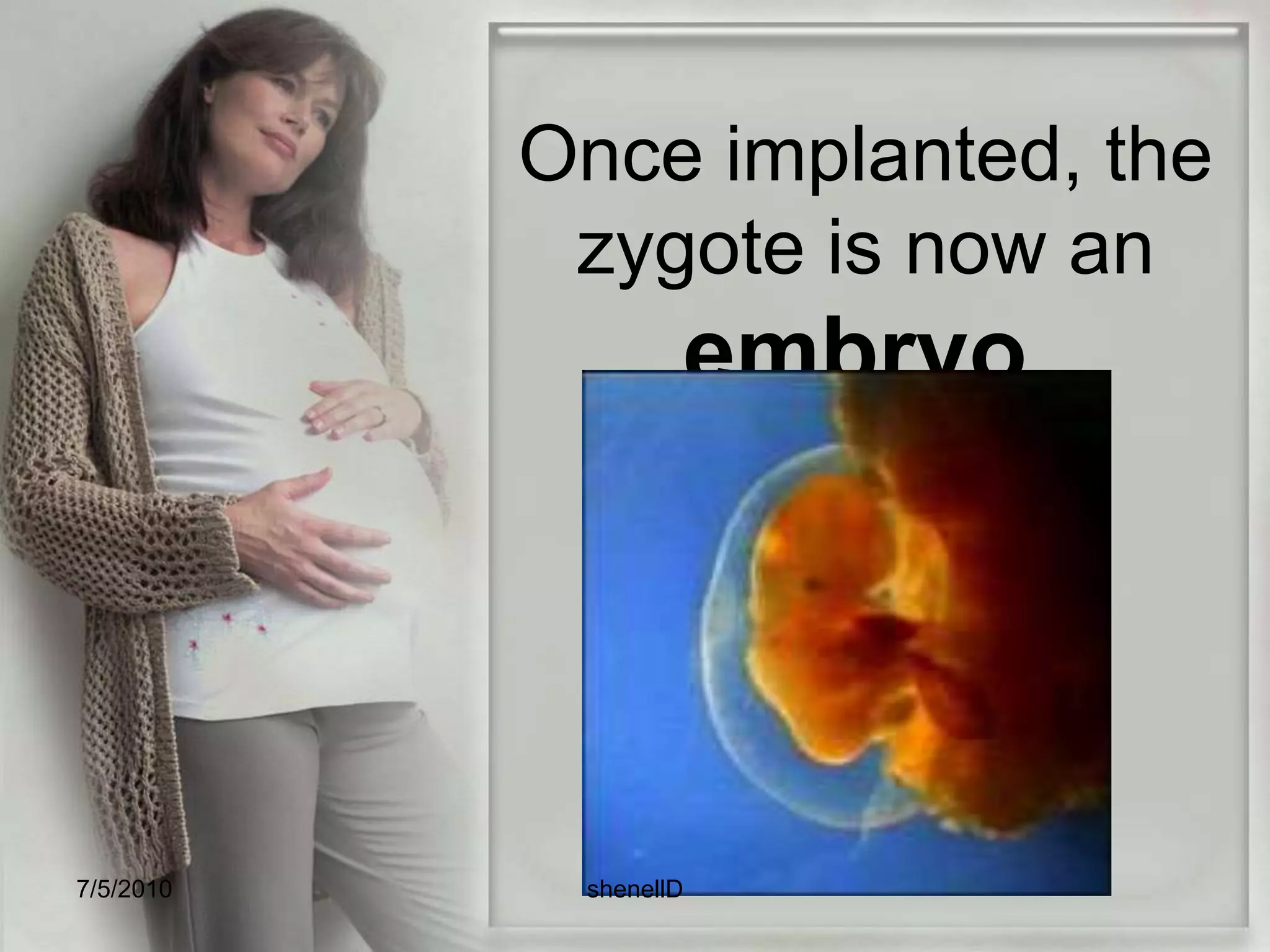 the embryonic disc gives rise to the three primary layers which are:Ectoderm- gives rise to the skin, hair, nails, sense organs, nervous system, mucous membrane of the mouth and anus.Mesoderm- kidney musculoskeletal system, reproductive system and cardiovascular systemEntoderm-bladder,lining of the gastrointestinal tract, tonsils, thyroid gland, and respiratory system. 7/4/2010shenellD