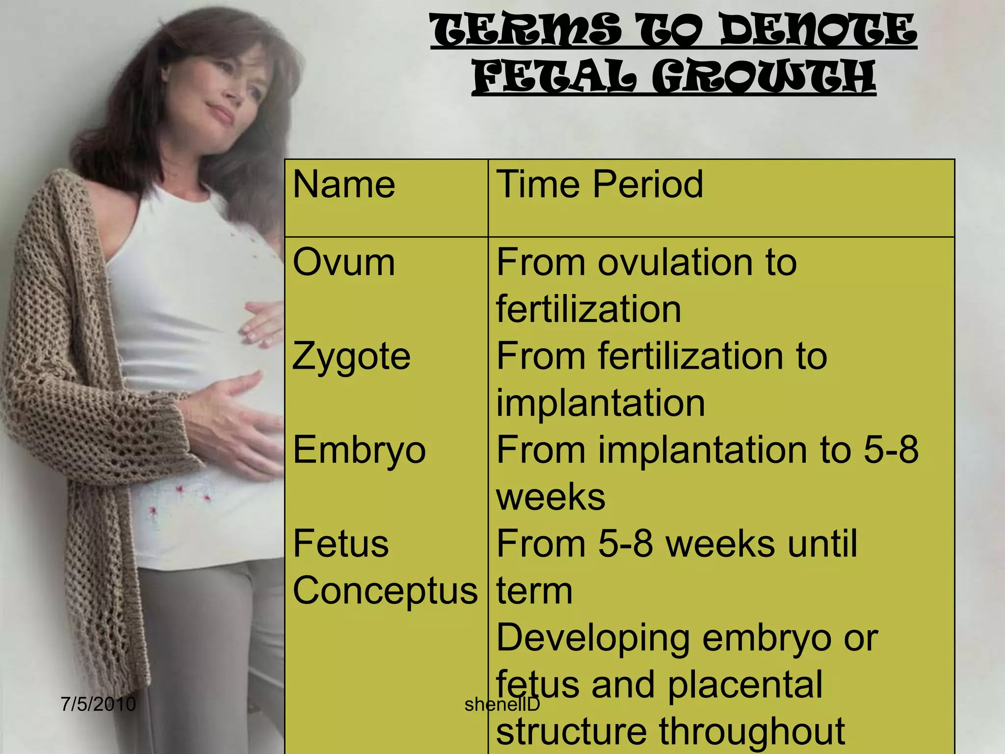FunctionsThe bulk of the cord is a gelatinous mucopolysaccharide called Wharton’s jelly which gives the cord body and protects therein and arteries from pressure To transport oxygen and nutrients to the fetus from the placenta.Smooth muscle is abundant in the arteries of the cord and the construction of these muscles after birth contributes to homeostasis and helps prevent hemorrhage of the newborn.7/4/2010shenellD
