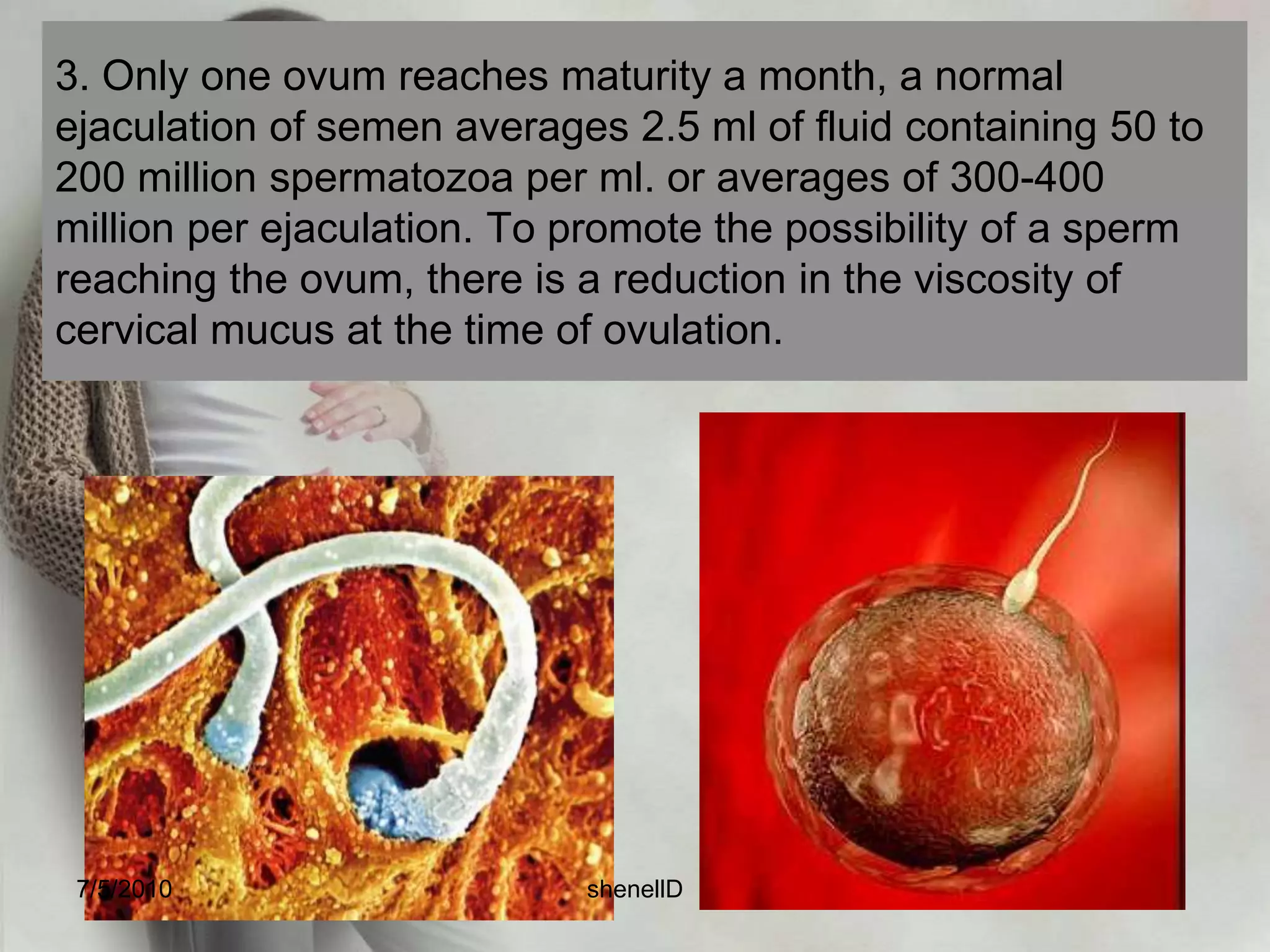 Steps in fertilization7/4/2010shenellD