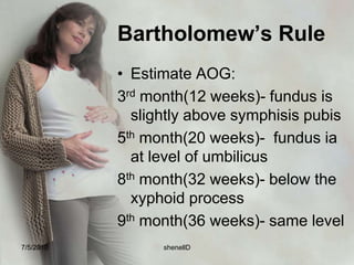 2nd Maneuver 	Palpate the sides of uterus to determine where the fetal back is facing	The left hand is left stationary on the left side of the uterus while the right hand palpates opposite side of the uterus from the top to bottom.	Next, hold right hand stationary to immobilize the uterus, and palpate top to bottom on the left sideLeopold_second.flv7/4/2010shenellD