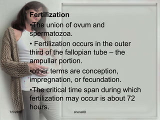Fertilization The union of ovum and spermatozoa.