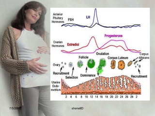 blastocystsA blastocysts is a ball like structure composed of an inner cell mass, called embryonic disc or erythroblasts. The outer layer is the throphoblasts that gives rise to the placenta, fetal membranes, umbilical cord, and amniotic fluid.7/4/2010shenellD