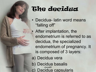 trophoblastsThe important functions of the trophoblasts is to absorb nutrients from the  endometrium and secrete hormone HCG or human chorionic gonadotropin, necessary in prolonging the life of the corpus luteum7/4/2010shenellD