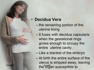 Embryonic and fetal structures7/4/2010shenellD