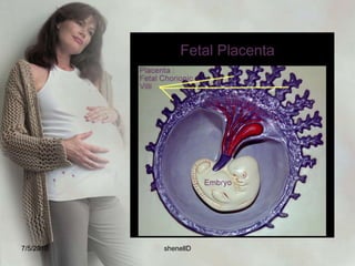 the chorionic villiChorionic villi- miniature villi, or probing “fingers” that reach out from the single layer of cells into the uterine endometrium.Two distinct layers:Syncytiotrophoblast or syncytial layerCytotrophoblast or langhans’ layer7/4/2010shenellD