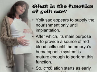 The placentaPlacenta- latin for pancake, because of the appearance.It covers about half of  the surface area of the internal uterus.It serves as the fetal lungs, kidneys, and gastrointestinal tract and a separate endocrine gland throughout the pregnancy.7/4/2010shenellD