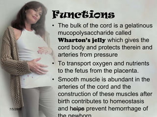What is the function of yolk sac?Yolk sac appears to supply the nourishment only until implantation.After which, its main purpose is to provide a source of red blood cells until the embryo’s hematopoetic system is mature enough to perform this function.So, circulation starts as early as 16th day of life and heart beat as early as the 24th day.7/4/2010shenellD