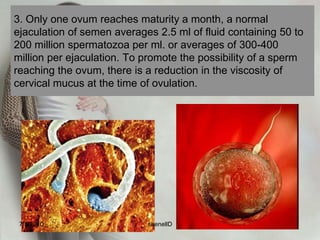 Steps in fertilization7/4/2010shenellD