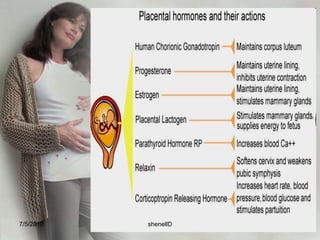 Placenta<br />Consists of an embryonic portion and a maternal portion<br />7/4/2010<br />shenellD<br />