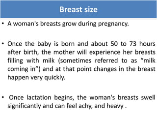 Pregnancy (physiological changes during pregnancy) | PPTX