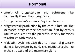 Pregnancy (physiological changes during pregnancy)