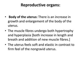 Reproductive organs:
• Body of the uterus: There is an increase in
growth and enlargement of the body of the
uterus.
• The muscle fibres undergo both hypertrophy
and hyperplasia [both increase in length and
breath and addition of new muscle fibres.]
• The uterus feels soft and elastic in contrast to
firm feel of the nongravid uterus.
 