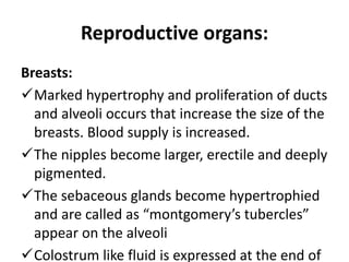Reproductive organs:
Breasts:
Marked hypertrophy and proliferation of ducts
and alveoli occurs that increase the size of the
breasts. Blood supply is increased.
The nipples become larger, erectile and deeply
pigmented.
The sebaceous glands become hypertrophied
and are called as “montgomery’s tubercles”
appear on the alveoli
Colostrum like fluid is expressed at the end of
 
