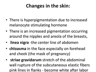 Changes in the skin:
• There is hyperpigmentation due to increased
melanocyte stimulating hormone
• There is an increased pigmentation occurring
around the nipples and areola of the breasts,
• linea nigra -the center line of abdomen
• chloasma in the face especially on forehead
and cheek (the mask of pregnancy)
• striae gravidarum stretch of the abdominal
wall rupture of the subcutaneous elastic fibers
pink lines in flanks - become white after labor
 
