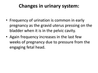 Changes in urinary system:
• Frequency of urination is common in early
pregnancy as the gravid uterus pressing on the
bladder when it is in the pelvic cavity.
• Again frequency increases in the last few
weeks of pregnancy due to pressure from the
engaging fetal head.
 