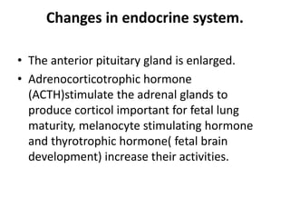 Changes in endocrine system.
• The anterior pituitary gland is enlarged.
• Adrenocorticotrophic hormone
(ACTH)stimulate the adrenal glands to
produce corticol important for fetal lung
maturity, melanocyte stimulating hormone
and thyrotrophic hormone( fetal brain
development) increase their activities.
 