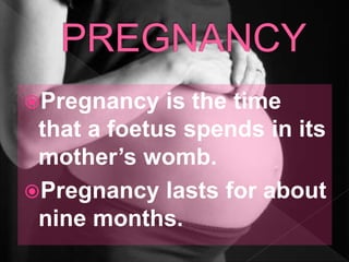 Pregnancy is the time
that a foetus spends in its
mother’s womb.
Pregnancy lasts for about
nine months.
 