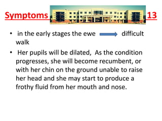 Symptoms 13
• in the early stages the ewe difficult
walk
• Her pupils will be dilated, As the condition
progresses, she will become recumbent, or
with her chin on the ground unable to raise
her head and she may start to produce a
frothy fluid from her mouth and nose.
 