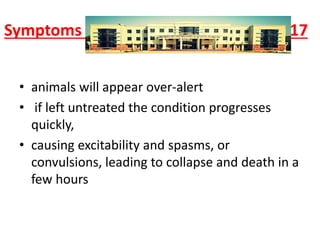 Symptoms 17
• animals will appear over-alert
• if left untreated the condition progresses
quickly,
• causing excitability and spasms, or
convulsions, leading to collapse and death in a
few hours
 