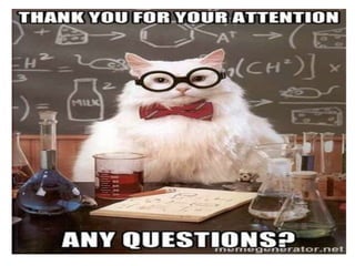 Pregnancy problems of ewe