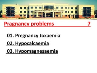 Pragnancy problems 7
01. Pregnancy toxaemia
02. Hypocalcaemia
03. Hypomagnesaemia
 