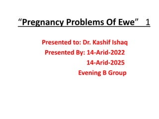 “Pregnancy Problems Of Ewe” 1
Presented to: Dr. Kashif Ishaq
Presented By: 14-Arid-2022
14-Arid-2025
Evening B Group
 
