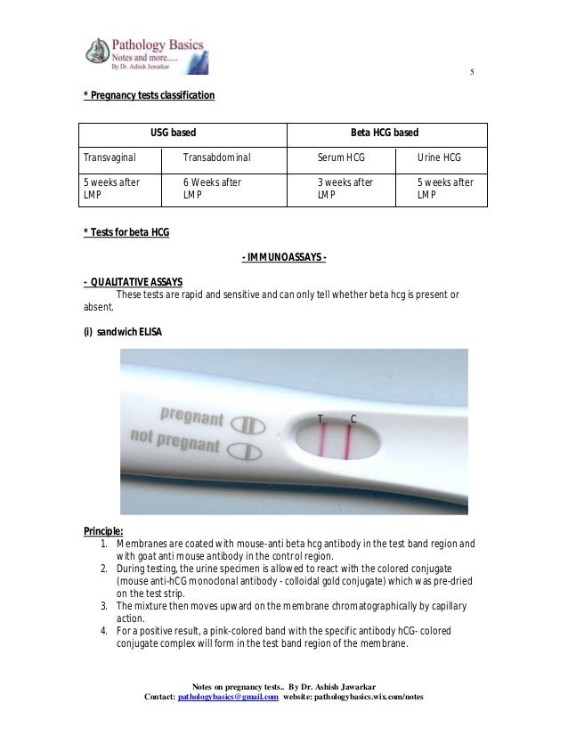 pregnancy test pictures with beta