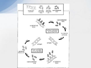 sequential testing during pregnancy gender sequential testing during pregnancy gender