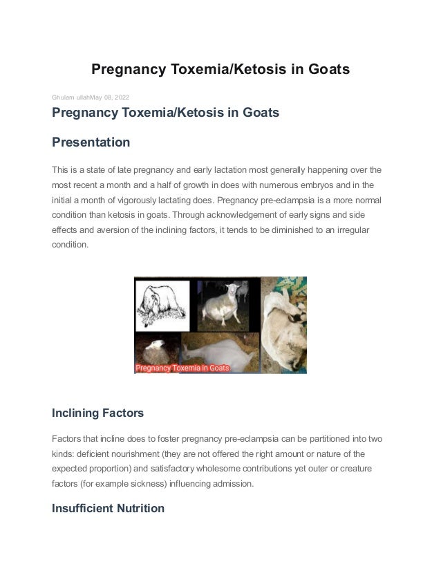 Pregnancy ToxemiaKetosis in Goats.pdf