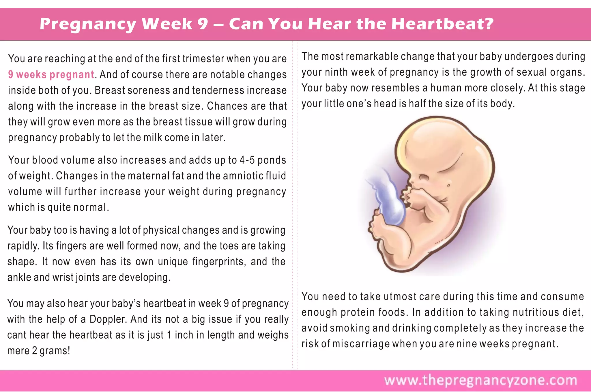 Pregnancy Week 9 – Can You Hear the Heartbeat?
You are reaching at the end of the first trimester when you are     The most remarkable change that your baby undergoes during
9 weeks pregnant . And of course there are notable changes          your ninth week of pregnancy is the growth of sexual organs.
inside both of you. Breast soreness and tenderness increase         Your baby now resembles a human more closely. At this stage
along with the increase in the breast size. Chances are that        your little one’s head is half the size of its body.
they will grow even more as the breast tissue will grow during
pregnancy probably to let the milk come in later.

Your blood volume also increases and adds up to 4-5 ponds
of weight. Changes in the maternal fat and the amniotic fluid
volume will further increase your weight during pregnancy
which is quite normal.

Your baby too is having a lot of physical changes and is growing
rapidly. Its fingers are well formed now, and the toes are taking
shape. It now even has its own unique fingerprints, and the
ankle and wrist joints are developing.
                                                                    You need to take utmost care during this time and consume
You may also hear your baby’s heartbeat in week 9 of pregnancy
                                                                    enough protein foods. In addition to taking nutritious diet,
with the help of a Doppler. And its not a big issue if you really
                                                                    avoid smoking and drinking completely as they increase the
cant hear the heartbeat as it is just 1 inch in length and weighs
                                                                    risk of miscarriage when you are nine weeks pregnant.
mere 2 grams!
 