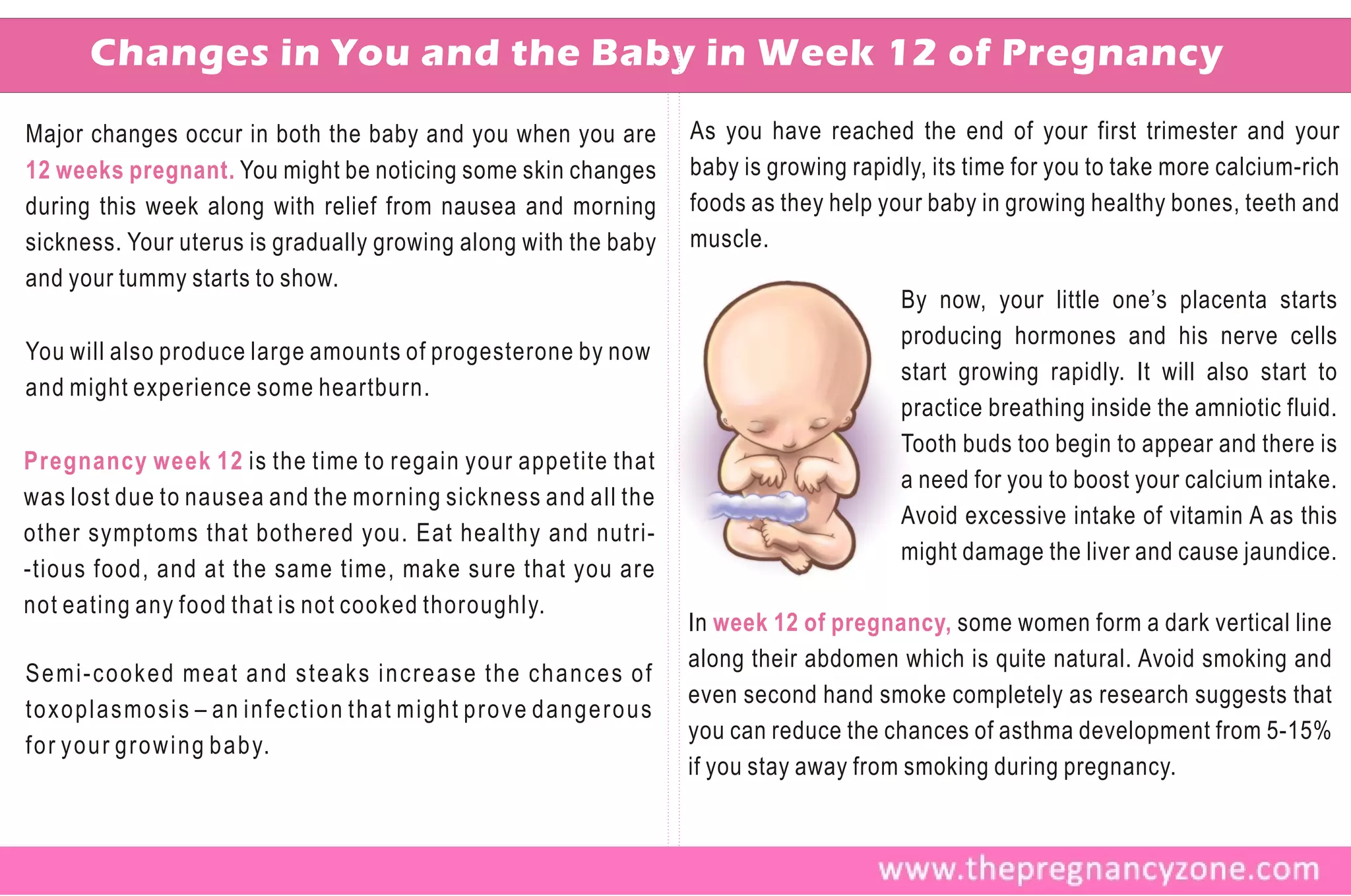 Changes in You and the Baby in Week 12 of Pregnancy
Major changes occur in both the baby and you when you are        As you have reached the end of your first trimester and your
12 weeks pregnant. You might be noticing some skin changes       baby is growing rapidly, its time for you to take more calcium-rich
during this week along with relief from nausea and morning       foods as they help your baby in growing healthy bones, teeth and
sickness. Your uterus is gradually growing along with the baby   muscle.
and your tummy starts to show.
                                                                                      By now, your little one’s placenta starts
                                                                                      producing hormones and his nerve cells
You will also produce large amounts of progesterone by now
                                                                                      start growing rapidly. It will also start to
and might experience some heartburn.
                                                                                      practice breathing inside the amniotic fluid.
                                                                                      Tooth buds too begin to appear and there is
Pregnancy week 12 is the time to regain your appetite that
                                                                                      a need for you to boost your calcium intake.
was lost due to nausea and the morning sickness and all the
                                                                                      Avoid excessive intake of vitamin A as this
other symptoms that bothered you. Eat healthy and nutri-
                                                                                      might damage the liver and cause jaundice.
-tious food, and at the same time, make sure that you are
not eating any food that is not cooked thoroughly.
                                                                 In week 12 of pregnancy, some women form a dark vertical line
                                                                 along their abdomen which is quite natural. Avoid smoking and
Semi-cooked meat and steaks increase the chances of
                                                                 even second hand smoke completely as research suggests that
toxoplasmosis – an infection that might prove dangerous
                                                                 you can reduce the chances of asthma development from 5-15%
f o r y o u r g r o w i n g b a b y.
                                                                 if you stay away from smoking during pregnancy.
 
