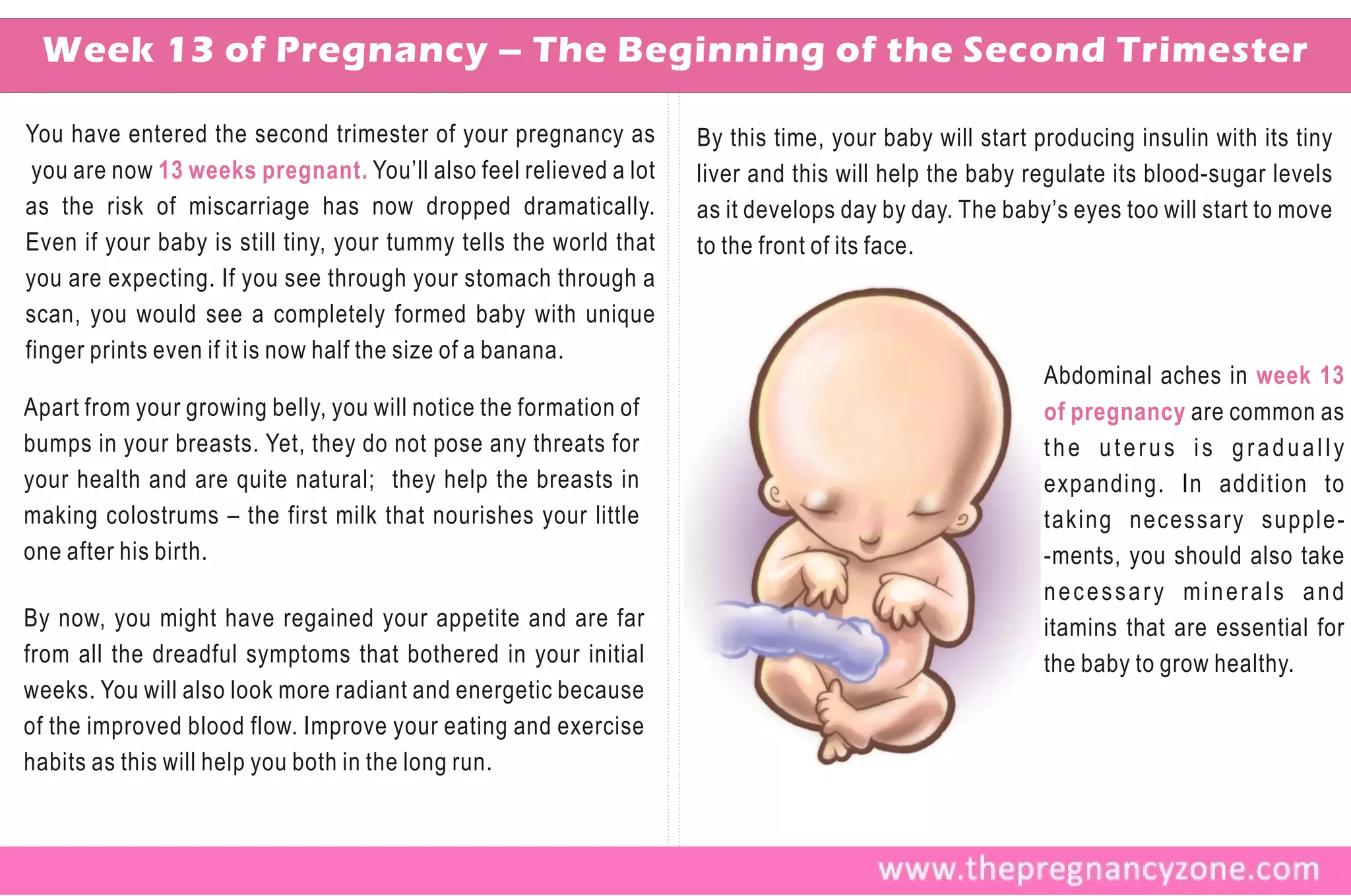 Week 13 of Pregnancy – The Beginning of the Second Trimester

You have entered the second trimester of your pregnancy as         By this time, your baby will start producing insulin with its tiny
 you are now 13 weeks pregnant. You’ll also feel relieved a lot    liver and this will help the baby regulate its blood-sugar levels
as the risk of miscarriage has now dropped dramatically.           as it develops day by day. The baby’s eyes too will start to move
Even if your baby is still tiny, your tummy tells the world that   to the front of its face.
you are expecting. If you see through your stomach through a
scan, you would see a completely formed baby with unique
finger prints even if it is now half the size of a banana.
                                                                                                       Abdominal aches in week 13
Apart from your growing belly, you will notice the formation of                                        of pregnancy are common as
bumps in your breasts. Yet, they do not pose any threats for                                           the uterus is gradually
your health and are quite natural; they help the breasts in                                            expanding. In addition to
making colostrums – the first milk that nourishes your little                                          taking necessary supple-
one after his birth.                                                                                   -ments, you should also take
                                                                                                       necessary minerals and
By now, you might have regained your appetite and are far                                              itamins that are essential for
from all the dreadful symptoms that bothered in your initial                                           the baby to grow healthy.
weeks. You will also look more radiant and energetic because
of the improved blood flow. Improve your eating and exercise
habits as this will help you both in the long run.
 