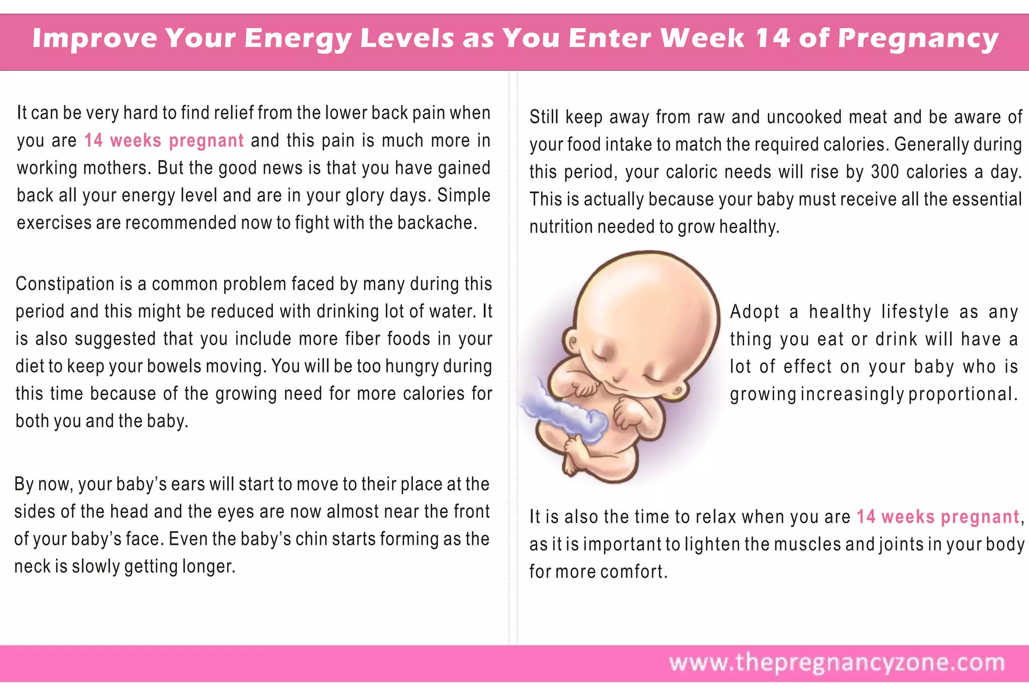 Improve Your Energy Levels as You Enter Week 14 of Pregnancy

It can be very hard to find relief from the lower back pain when    Still keep away from raw and uncooked meat and be aware of
you are 14 weeks pregnant and this pain is much more in             your food intake to match the required calories. Generally during
working mothers. But the good news is that you have gained          this period, your caloric needs will rise by 300 calories a day.
back all your energy level and are in your glory days. Simple       This is actually because your baby must receive all the essential
exercises are recommended now to fight with the backache.           nutrition needed to grow healthy.

Constipation is a common problem faced by many during this
period and this might be reduced with drinking lot of water. It                               Adopt a healthy lifestyle as any
is also suggested that you include more fiber foods in your                                   thing you eat or drink will have a
diet to keep your bowels moving. You will be too hungry during                                lot of effect on your baby who is
this time because of the growing need for more calories for                                   growing increasingly proportional.
both you and the baby.


By now, your baby’s ears will start to move to their place at the
sides of the head and the eyes are now almost near the front        It is also the time to relax when you are 14 weeks pregnant ,
of your baby’s face. Even the baby’s chin starts forming as the     as it is important to lighten the muscles and joints in your body
neck is slowly getting longer.                                      for more comfort.
 