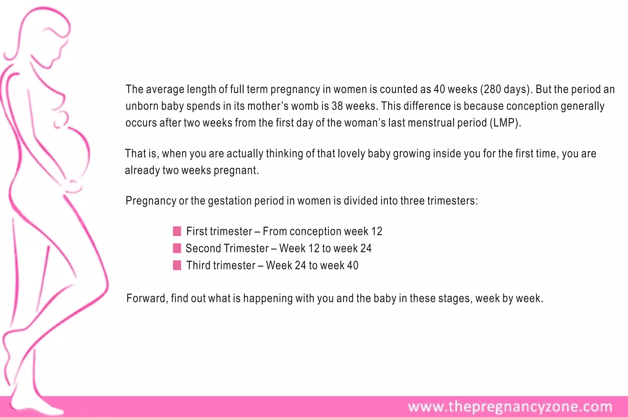 The average length of full term pregnancy in women is counted as 40 weeks (280 days). But the period an
unborn baby spends in its mother’s womb is 38 weeks. This difference is because conception generally
occurs after two weeks from the first day of the woman’s last menstrual period (LMP).

That is, when you are actually thinking of that lovely baby growing inside you for the first time, you are
already two weeks pregnant.

Pregnancy or the gestation period in women is divided into three trimesters:

             First trimester – From conception week 12
             Second Trimester – Week 12 to week 24
             Third trimester – Week 24 to week 40

Forward, find out what is happening with you and the baby in these stages, week by week.
 