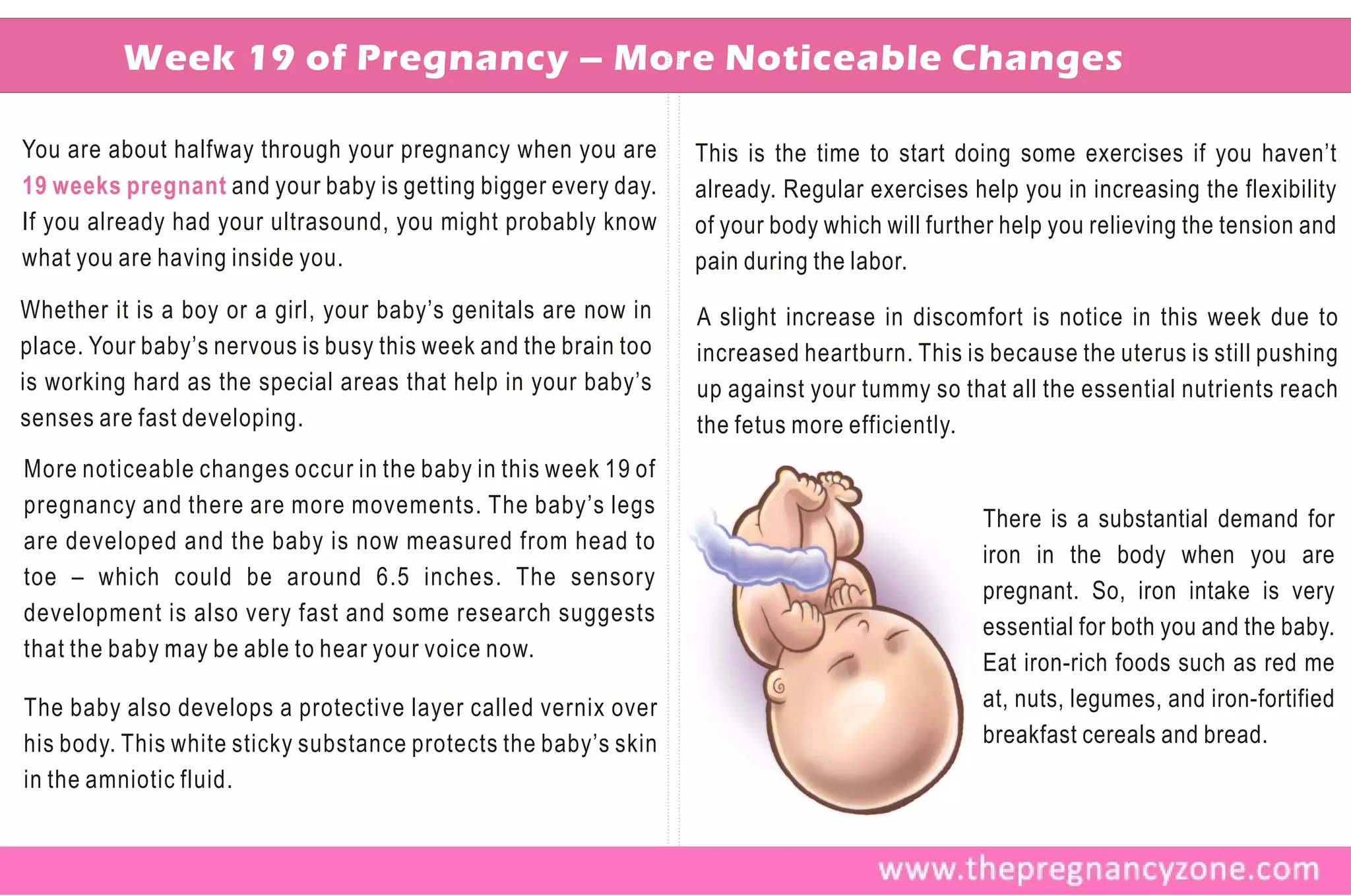 Week 19 of Pregnancy – More Noticeable Changes

You are about halfway through your pregnancy when you are        This is the time to start doing some exercises if you haven’t
19 weeks pregnant and your baby is getting bigger every day.     already. Regular exercises help you in increasing the flexibility
If you already had your ultrasound, you might probably know      of your body which will further help you relieving the tension and
what you are having inside you.                                  pain during the labor.
Whether it is a boy or a girl, your baby’s genitals are now in   A slight increase in discomfort is notice in this week due to
place. Your baby’s nervous is busy this week and the brain too   increased heartburn. This is because the uterus is still pushing
is working hard as the special areas that help in your baby’s    up against your tummy so that all the essential nutrients reach
senses are fast developing.                                      the fetus more efficiently.
More noticeable changes occur in the baby in this week 19 of
pregnancy and there are more movements. The baby’s legs
                                                                                              There is a substantial demand for
are developed and the baby is now measured from head to
                                                                                              iron in the body when you are
toe – which could be around 6.5 inches. The sensory
                                                                                              pregnant. So, iron intake is very
development is also very fast and some research suggests
                                                                                              essential for both you and the baby.
that the baby may be able to hear your voice now.
                                                                                              Eat iron-rich foods such as red me
The baby also develops a protective layer called vernix over                                  at, nuts, legumes, and iron-fortified
his body. This white sticky substance protects the baby’s skin                                breakfast cereals and bread.
in the amniotic fluid.
 