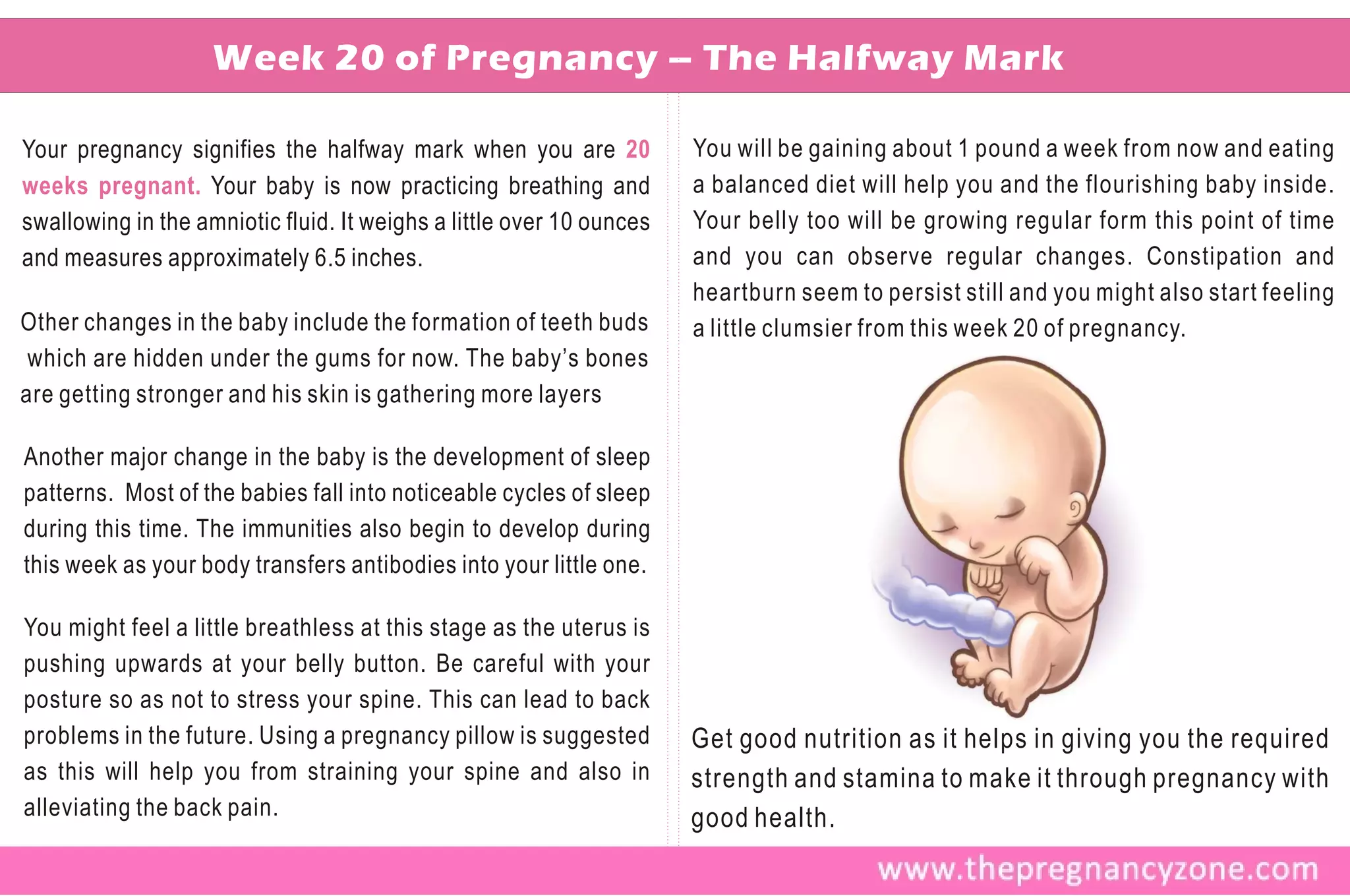 Week 20 of Pregnancy – The Halfway Mark

Your pregnancy signifies the halfway mark when you are 20             You will be gaining about 1 pound a week from now and eating
weeks pregnant. Your baby is now practicing breathing and             a balanced diet will help you and the flourishing baby inside.
swallowing in the amniotic fluid. It weighs a little over 10 ounces   Your belly too will be growing regular form this point of time
and measures approximately 6.5 inches.                                and you can observe regular changes. Constipation and
                                                                      heartburn seem to persist still and you might also start feeling
Other changes in the baby include the formation of teeth buds         a little clumsier from this week 20 of pregnancy.
 which are hidden under the gums for now. The baby’s bones
are getting stronger and his skin is gathering more layers

Another major change in the baby is the development of sleep
patterns. Most of the babies fall into noticeable cycles of sleep
during this time. The immunities also begin to develop during
this week as your body transfers antibodies into your little one.

You might feel a little breathless at this stage as the uterus is
pushing upwards at your belly button. Be careful with your
posture so as not to stress your spine. This can lead to back
problems in the future. Using a pregnancy pillow is suggested         Get good nutrition as it helps in giving you the required
as this will help you from straining your spine and also in           strength and stamina to make it through pregnancy with
alleviating the back pain.                                            good health.
 
