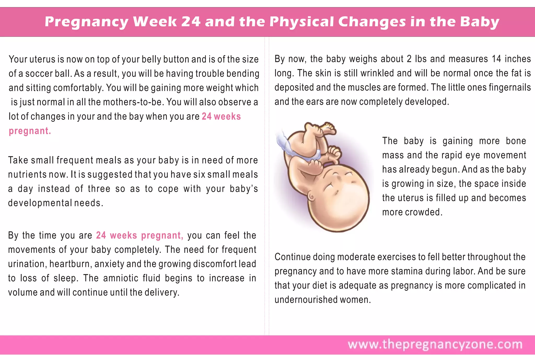Pregnancy Week 24 and the Physical Changes in the Baby

Your uterus is now on top of your belly button and is of the size   By now, the baby weighs about 2 lbs and measures 14 inches
of a soccer ball. As a result, you will be having trouble bending   long. The skin is still wrinkled and will be normal once the fat is
and sitting comfortably. You will be gaining more weight which      deposited and the muscles are formed. The little ones fingernails
 is just normal in all the mothers-to-be. You will also observe a   and the ears are now completely developed.
lot of changes in your and the bay when you are 24 weeks
pregnant.
                                                                                                The baby is gaining more bone
                                                                                                mass and the rapid eye movement
Take small frequent meals as your baby is in need of more
                                                                                                has already begun. And as the baby
nutrients now. It is suggested that you have six small meals
                                                                                                is growing in size, the space inside
a day instead of three so as to cope with your baby’s
                                                                                                the uterus is filled up and becomes
developmental needs.
                                                                                                more crowded.

By the time you are 24 weeks pregnant, you can feel the
movements of your baby completely. The need for frequent
                                                                    Continue doing moderate exercises to fell better throughout the
urination, heartburn, anxiety and the growing discomfort lead
                                                                    pregnancy and to have more stamina during labor. And be sure
to loss of sleep. The amniotic fluid begins to increase in
                                                                    that your diet is adequate as pregnancy is more complicated in
volume and will continue until the delivery.
                                                                    undernourished women.
 
