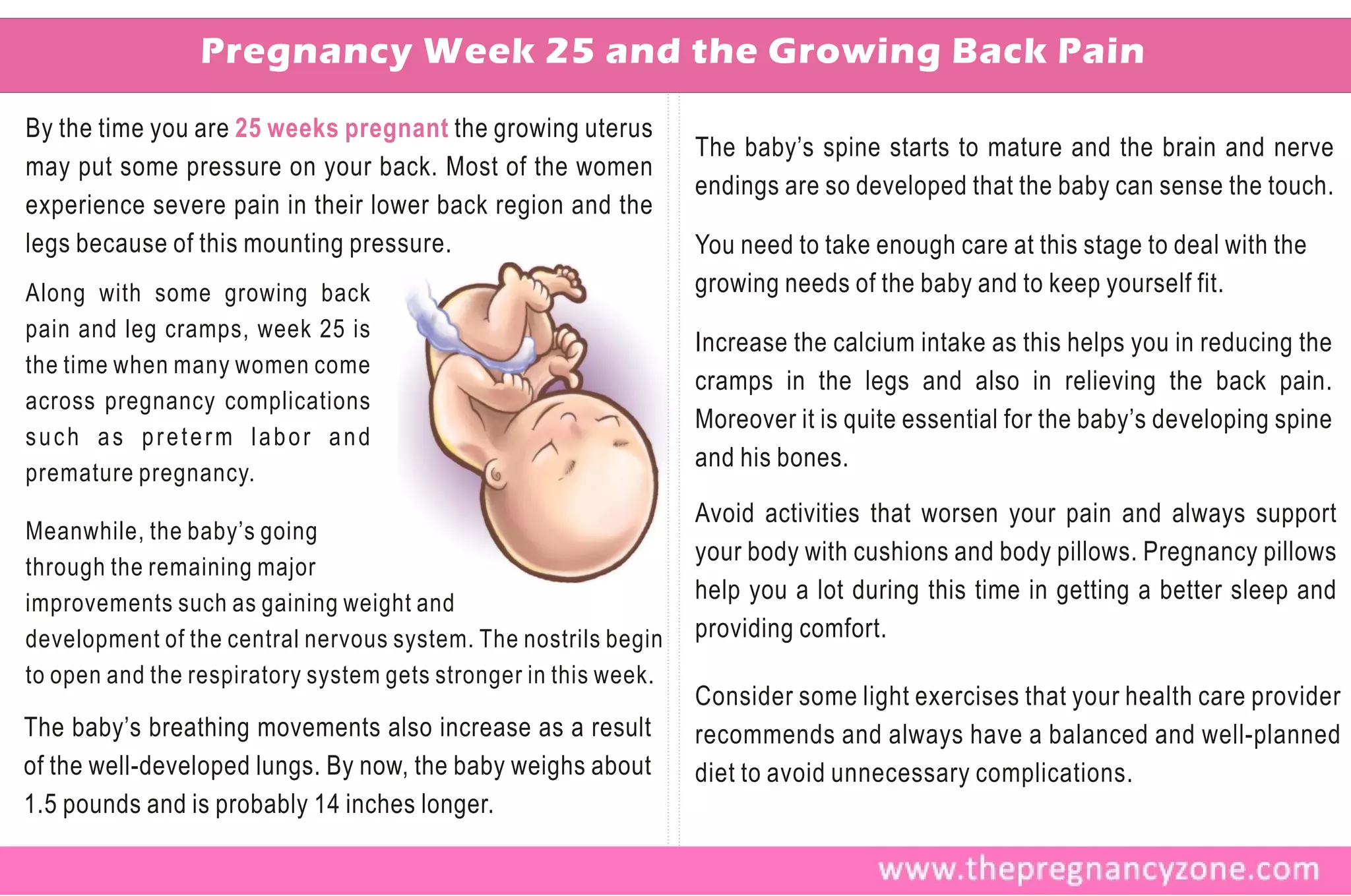 Pregnancy Week 25 and the Growing Back Pain
By the time you are 25 weeks pregnant the growing uterus
                                                                 The baby’s spine starts to mature and the brain and nerve
may put some pressure on your back. Most of the women
                                                                 endings are so developed that the baby can sense the touch.
experience severe pain in their lower back region and the
legs because of this mounting pressure.                          You need to take enough care at this stage to deal with the
Along with some growing back                                     growing needs of the baby and to keep yourself fit.
pain and leg cramps, week 25 is
                                                                 Increase the calcium intake as this helps you in reducing the
the time when many women come
                                                                 cramps in the legs and also in relieving the back pain.
across pregnancy complications
                                                                 Moreover it is quite essential for the baby’s developing spine
such as preterm labor and
                                                                 and his bones.
premature pregnancy.
                                                                 Avoid activities that worsen your pain and always support
Meanwhile, the baby’s going
                                                                 your body with cushions and body pillows. Pregnancy pillows
through the remaining major
improvements such as gaining weight and                          help you a lot during this time in getting a better sleep and
development of the central nervous system. The nostrils begin    providing comfort.
to open and the respiratory system gets stronger in this week.
                                                                 Consider some light exercises that your health care provider
The baby’s breathing movements also increase as a result         recommends and always have a balanced and well-planned
of the well-developed lungs. By now, the baby weighs about       diet to avoid unnecessary complications.
1.5 pounds and is probably 14 inches longer.
 