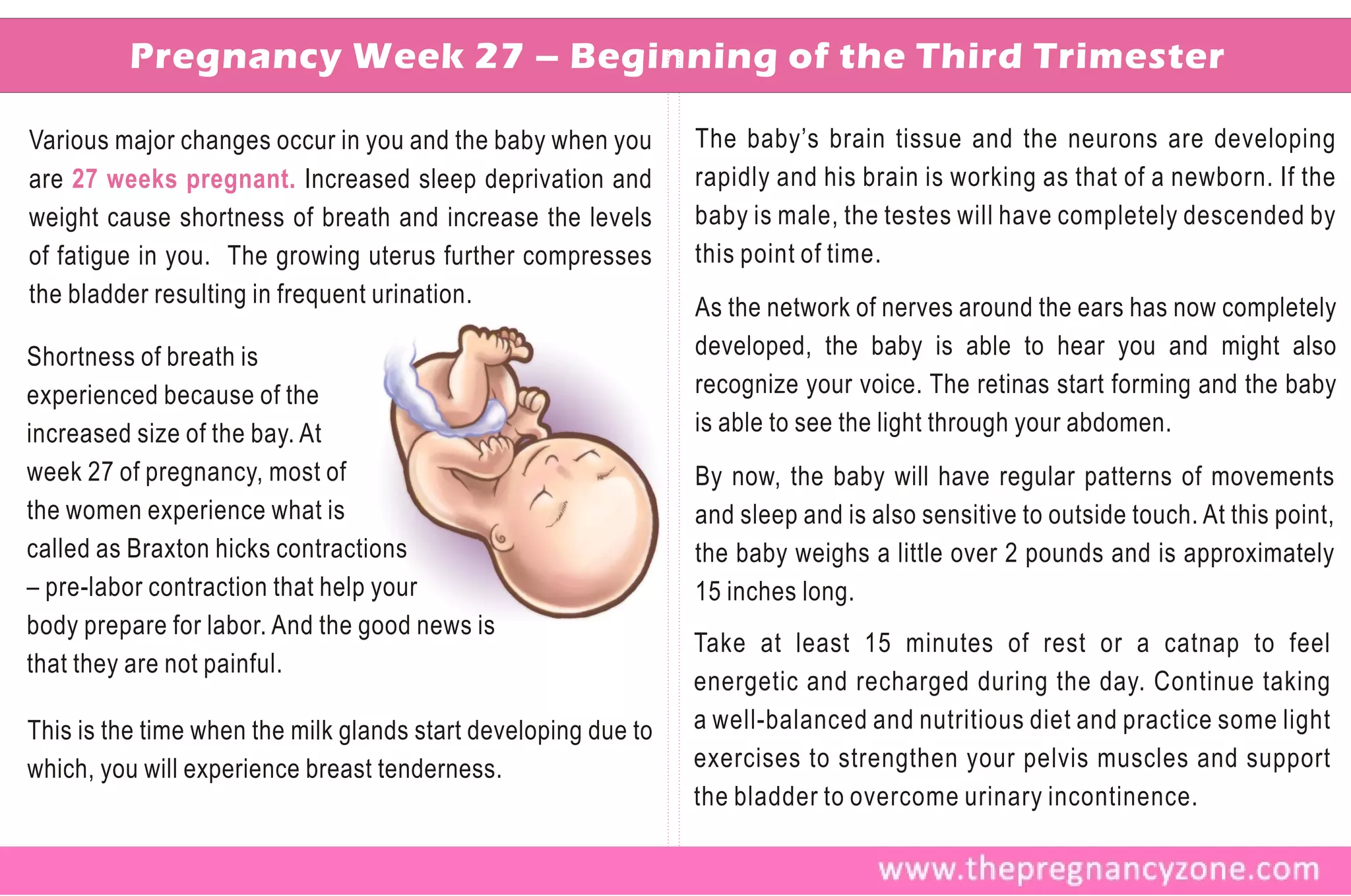 Pregnancy Week 27 – Beginning of the Third Trimester

Various major changes occur in you and the baby when you        The baby’s brain tissue and the neurons are developing
are 27 weeks pregnant. Increased sleep deprivation and          rapidly and his brain is working as that of a newborn. If the
weight cause shortness of breath and increase the levels        baby is male, the testes will have completely descended by
of fatigue in you. The growing uterus further compresses        this point of time.
the bladder resulting in frequent urination.                    As the network of nerves around the ears has now completely
Shortness of breath is                                          developed, the baby is able to hear you and might also
experienced because of the                                      recognize your voice. The retinas start forming and the baby
increased size of the bay. At                                   is able to see the light through your abdomen.
week 27 of pregnancy, most of                                   By now, the baby will have regular patterns of movements
the women experience what is                                    and sleep and is also sensitive to outside touch. At this point,
called as Braxton hicks contractions                            the baby weighs a little over 2 pounds and is approximately
– pre-labor contraction that help your                          15 inches long.
body prepare for labor. And the good news is
                                                                Take at least 15 minutes of rest or a catnap to feel
that they are not painful.
                                                                energetic and recharged during the day. Continue taking
This is the time when the milk glands start developing due to   a well-balanced and nutritious diet and practice some light
which, you will experience breast tenderness.                   exercises to strengthen your pelvis muscles and support
                                                                the bladder to overcome urinary incontinence.
 