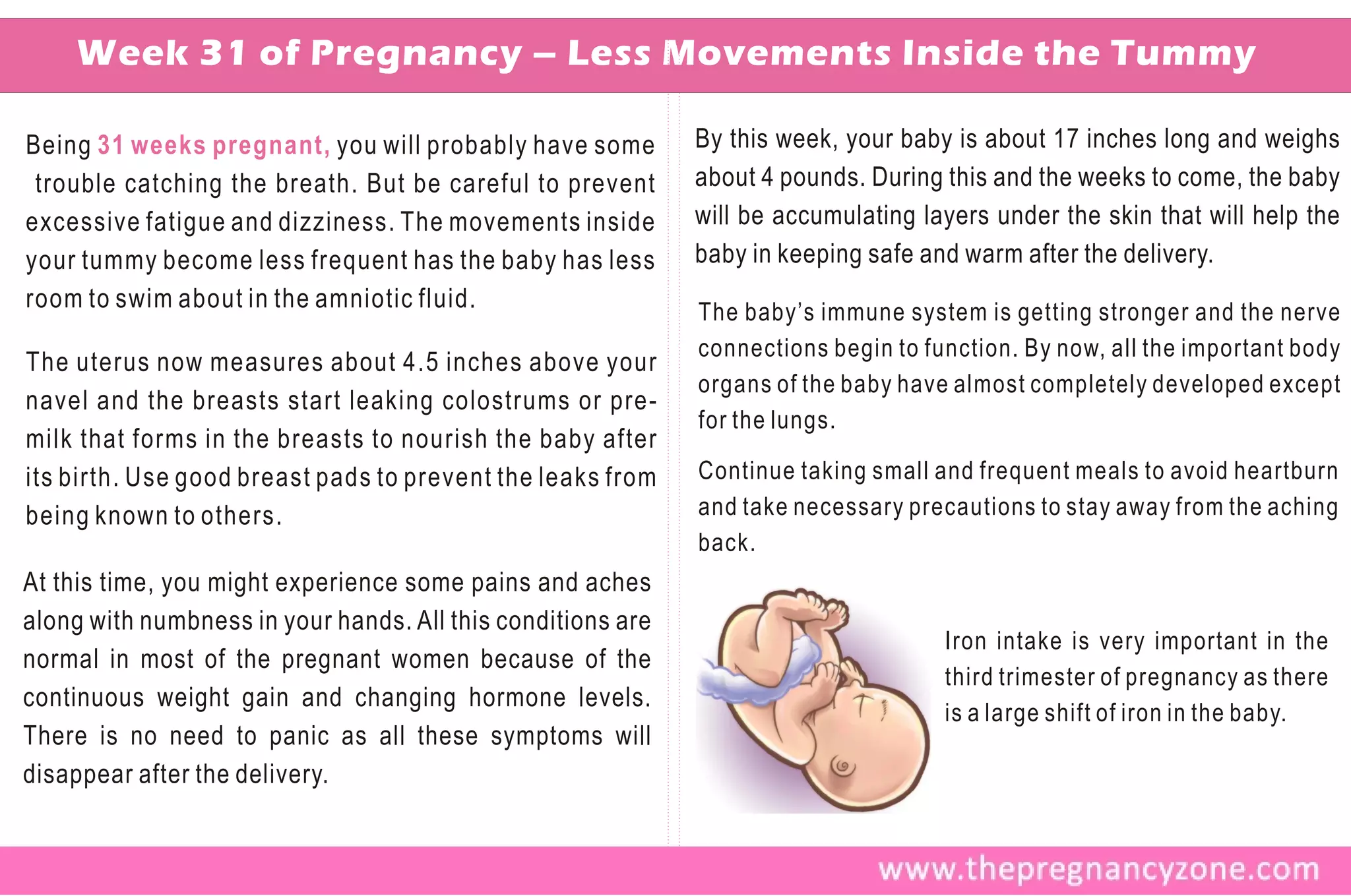 Week 31 of Pregnancy – Less Movements Inside the Tummy

Being 31 weeks pregnant, you will probably have some         By this week, your baby is about 17 inches long and weighs
 trouble catching the breath. But be careful to prevent      about 4 pounds. During this and the weeks to come, the baby
excessive fatigue and dizziness. The movements inside        will be accumulating layers under the skin that will help the
your tummy become less frequent has the baby has less        baby in keeping safe and warm after the delivery.
room to swim about in the amniotic fluid.                    The baby’s immune system is getting stronger and the nerve
                                                             connections begin to function. By now, all the important body
The uterus now measures about 4.5 inches above your
                                                             organs of the baby have almost completely developed except
navel and the breasts start leaking colostrums or pre-
                                                             for the lungs.
milk that forms in the breasts to nourish the baby after
its birth. Use good breast pads to prevent the leaks from    Continue taking small and frequent meals to avoid heartburn
being known to others.                                       and take necessary precautions to stay away from the aching
                                                             back.
At this time, you might experience some pains and aches
along with numbness in your hands. All this conditions are
                                                                                    Iron intake is very important in the
normal in most of the pregnant women because of the
                                                                                    third trimester of pregnancy as there
continuous weight gain and changing hormone levels.
                                                                                    is a large shift of iron in the baby.
There is no need to panic as all these symptoms will
disappear after the delivery.
 