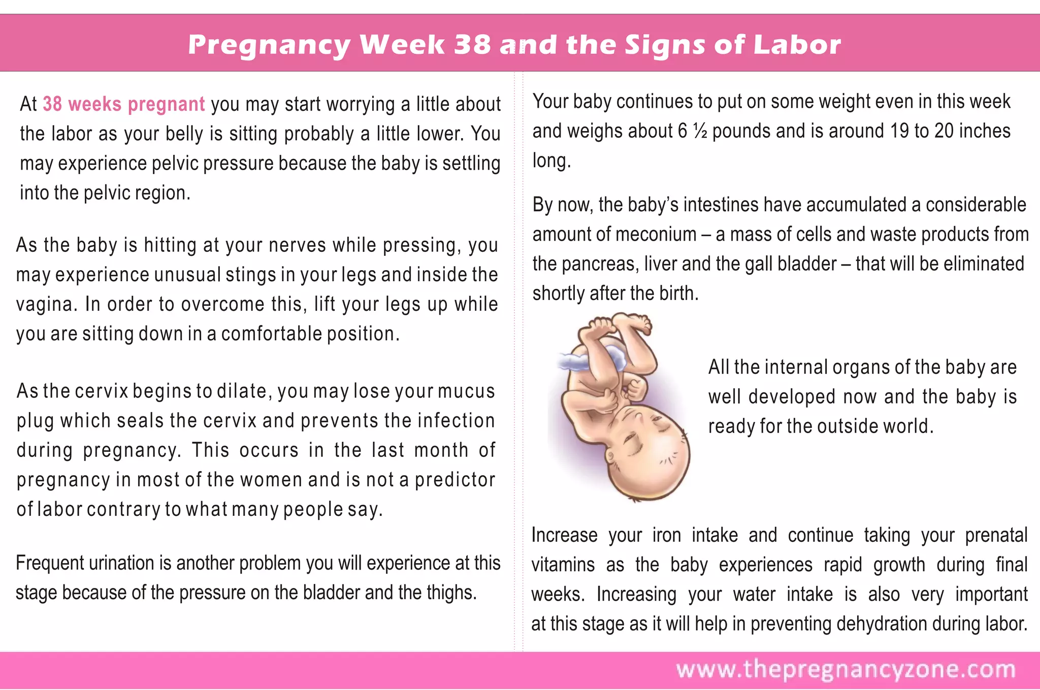 Pregnancy Week 38 and the Signs of Labor
At 38 weeks pregnant you may start worrying a little about          Your baby continues to put on some weight even in this week
the labor as your belly is sitting probably a little lower. You     and weighs about 6 ½ pounds and is around 19 to 20 inches
may experience pelvic pressure because the baby is settling         long.
into the pelvic region.
                                                                    By now, the baby’s intestines have accumulated a considerable
                                                                    amount of meconium – a mass of cells and waste products from
As the baby is hitting at your nerves while pressing, you
                                                                    the pancreas, liver and the gall bladder – that will be eliminated
may experience unusual stings in your legs and inside the
                                                                    shortly after the birth.
vagina. In order to overcome this, lift your legs up while
you are sitting down in a comfortable position.
                                                                                            All the internal organs of the baby are
As the cervix begins to dilate, you may lose your mucus                                     well developed now and the baby is
plug which seals the cervix and prevents the infection                                      ready for the outside world.
during pregnancy. This occurs in the last month of
pregnancy in most of the women and is not a predictor
of labor contrary to what many people say.
                                                                    Increase your iron intake and continue taking your prenatal
Frequent urination is another problem you will experience at this   vitamins as the baby experiences rapid growth during final
stage because of the pressure on the bladder and the thighs.        weeks. Increasing your water intake is also very important
                                                                    at this stage as it will help in preventing dehydration during labor.
 