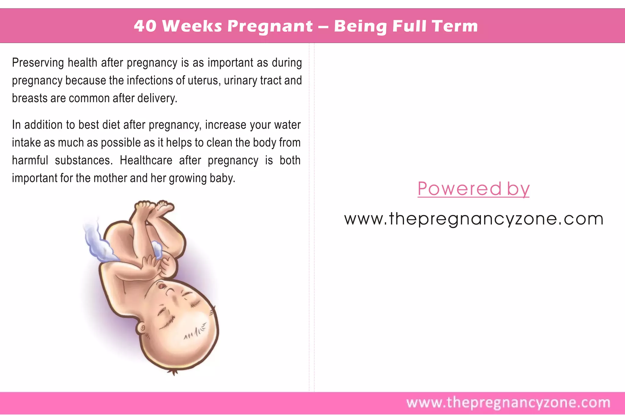 40 Weeks Pregnant – Being Full Term

Preserving health after pregnancy is as important as during
pregnancy because the infections of uterus, urinary tract and
breasts are common after delivery.

In addition to best diet after pregnancy, increase your water
intake as much as possible as it helps to clean the body from
harmful substances. Healthcare after pregnancy is both
important for the mother and her growing baby.
                                                                       Po w e r e d b y
                                                                !www.thepregnancyzone.com
 
