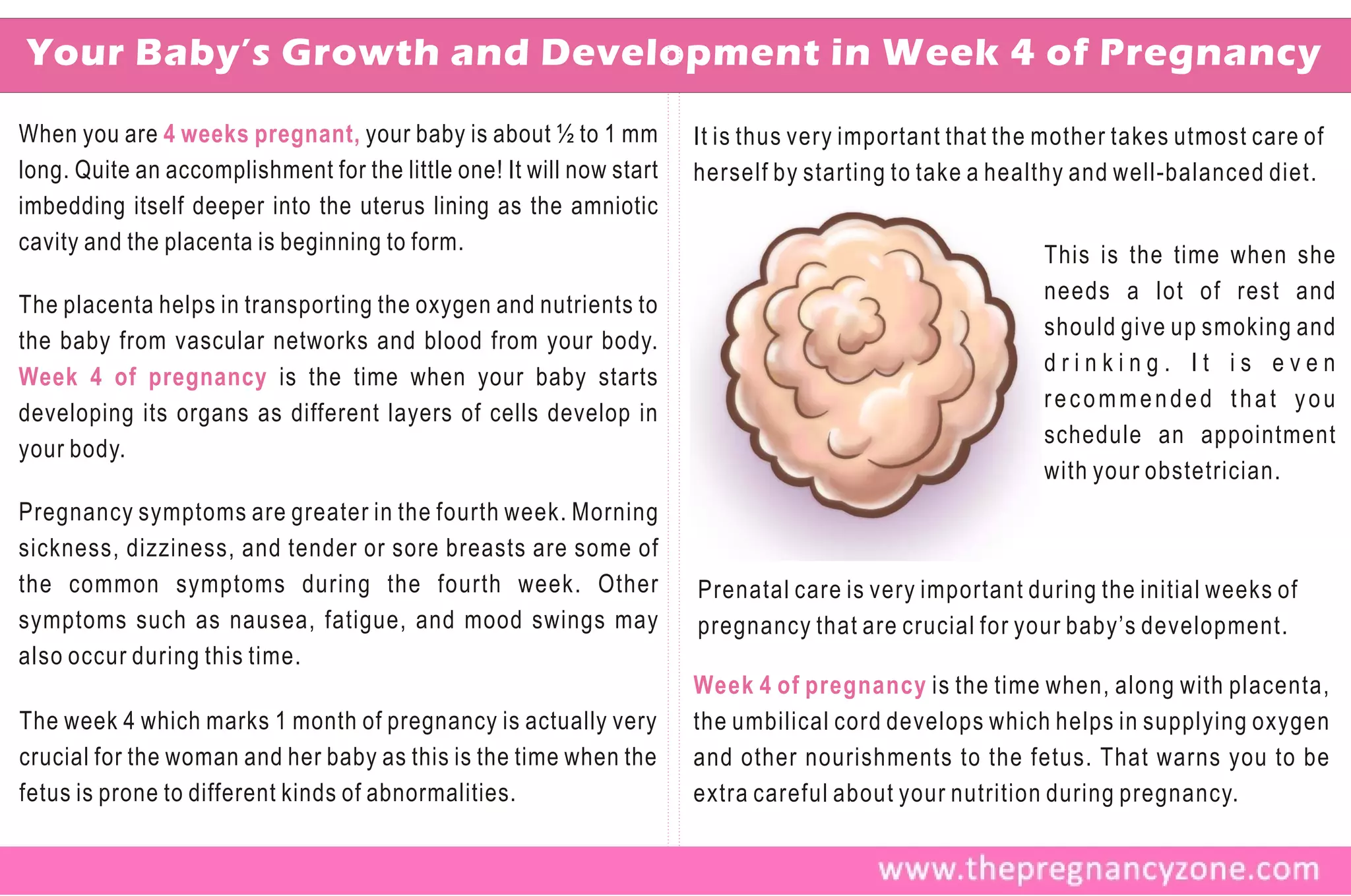 Your Baby’s Growth and Development in Week 4 of Pregnancy
When you are 4 weeks pregnant, your baby is about ½ to 1 mm           It is thus very important that the mother takes utmost care of
long. Quite an accomplishment for the little one! It will now start   herself by starting to take a healthy and well-balanced diet.
imbedding itself deeper into the uterus lining as the amniotic
cavity and the placenta is beginning to form.
                                                                                                        This is the time when she
                                                                                                        needs a lot of rest and
The placenta helps in transporting the oxygen and nutrients to
                                                                                                        should give up smoking and
the baby from vascular networks and blood from your body.
                                                                                                        drinking. It is even
Week 4 of pregnancy is the time when your baby starts
                                                                                                        recommended that you
developing its organs as different layers of cells develop in
                                                                                                        schedule an appointment
your body.
                                                                                                        with your obstetrician.
Pregnancy symptoms are greater in the fourth week. Morning
sickness, dizziness, and tender or sore breasts are some of
the common symptoms during the fourth week. Other                     Prenatal care is very important during the initial weeks of
symptoms such as nausea, fatigue, and mood swings may                 pregnancy that are crucial for your baby’s development.
also occur during this time.
                                                                      Week 4 of pregnancy is the time when, along with placenta,
The week 4 which marks 1 month of pregnancy is actually very          the umbilical cord develops which helps in supplying oxygen
crucial for the woman and her baby as this is the time when the       and other nourishments to the fetus. That warns you to be
fetus is prone to different kinds of abnormalities.                   extra careful about your nutrition during pregnancy.
 