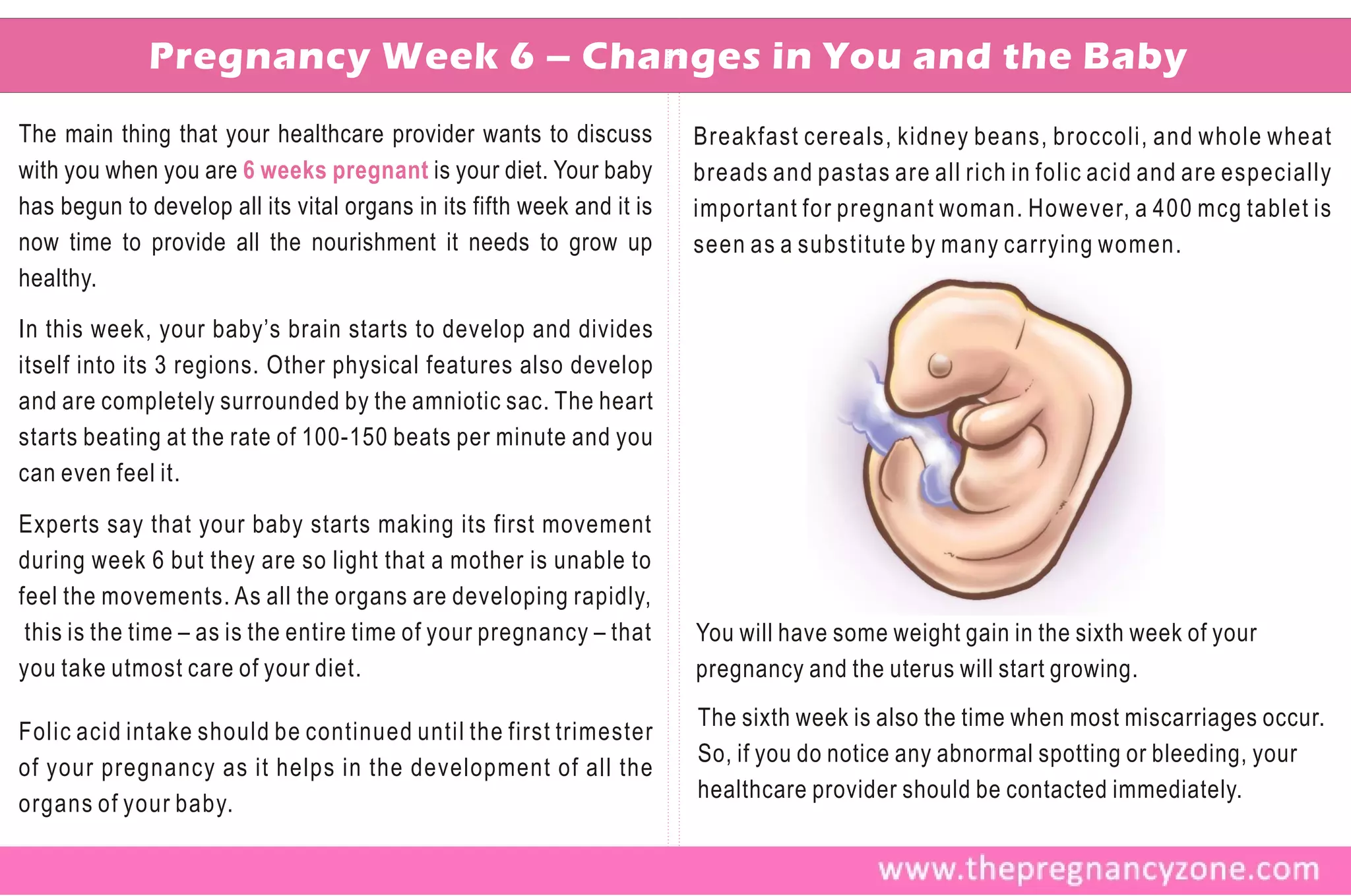 Pregnancy Week 6 – Changes in You and the Baby
The main thing that your healthcare provider wants to discuss           Breakfast cereals, kidney beans, broccoli, and whole wheat
with you when you are 6 weeks pregnant is your diet. Your baby          breads and pastas are all rich in folic acid and are especially
has begun to develop all its vital organs in its fifth week and it is   important for pregnant woman. However, a 400 mcg tablet is
now time to provide all the nourishment it needs to grow up             seen as a substitute by many carrying women.
healthy.

In this week, your baby’s brain starts to develop and divides
itself into its 3 regions. Other physical features also develop
and are completely surrounded by the amniotic sac. The heart
starts beating at the rate of 100-150 beats per minute and you
can even feel it.

Experts say that your baby starts making its first movement
during week 6 but they are so light that a mother is unable to
feel the movements. As all the organs are developing rapidly,
 this is the time – as is the entire time of your pregnancy – that      You will have some weight gain in the sixth week of your
you take utmost care of your diet.                                      pregnancy and the uterus will start growing.
                                                                        The sixth week is also the time when most miscarriages occur.
Folic acid intake should be continued until the first trimester
                                                                        So, if you do notice any abnormal spotting or bleeding, your
of your pregnancy as it helps in the development of all the
                                                                        healthcare provider should be contacted immediately.
organs of your baby.
 