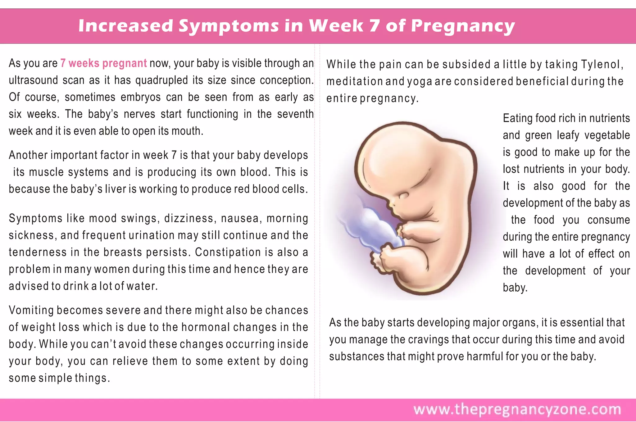Increased Symptoms in Week 7 of Pregnancy
As you are 7 weeks pregnant now, your baby is visible through an   W h i l e t h e p a i n c a n b e s u b s i d e d a l i t t l e b y t a k i n g Ty l e n o l ,
ultrasound scan as it has quadrupled its size since conception.    meditation and yoga are considered beneficial during the
Of course, sometimes embryos can be seen from as early as          e n t i r e p r e g n a n c y.
six weeks. The baby’s nerves start functioning in the seventh                                                             Eating food rich in nutrients
week and it is even able to open its mouth.                                                                               and green leafy vegetable
Another important factor in week 7 is that your baby develops                                                             is good to make up for the
 its muscle systems and is producing its own blood. This is                                                               lost nutrients in your body.
because the baby’s liver is working to produce red blood cells.                                                           It is also good for the
                                                                                                                          development of the baby as
Symptoms like mood swings, dizziness, nausea, morning                                                                       the food you consume
sickness, and frequent urination may still continue and the                                                               during the entire pregnancy
tenderness in the breasts persists. Constipation is also a                                                                will have a lot of effect on
problem in many women during this time and hence they are                                                                 the development of your
advised to drink a lot of water.                                                                                          baby.
Vomiting becomes severe and there might also be chances
of weight loss which is due to the hormonal changes in the         As the baby starts developing major organs, it is essential that
body. While you can’t avoid these changes occurring inside         you manage the cravings that occur during this time and avoid
your body, you can relieve them to some extent by doing            substances that might prove harmful for you or the baby.
some simple things.
 