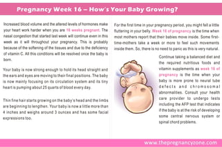 Pregnancy Week 16 – How’s Your Baby Growing?

Increased blood volume and the altered levels of hormones make        For the first time in your pregnancy period, you might fell a little
your heart work harder when you are 16 weeks pregnant. The            fluttering in your belly. Week 16 of pregnancy is the time when
nasal congestion that started last week will continue even in this    most mothers report that their babies move inside. Some first-
week as it will throughout your pregnancy. This is probably           time-mothers take a week or more to feel such movements
because of the softening of the tissues and due to the deficiency     inside them. So, there is no need to panic as this is very natural.
of vitamin C. All this conditions will be resolved once the baby is
                                                                                                   Continue taking a balanced diet and
born.
                                                                                                   the required nutritious foods and
Your baby is now strong enough to hold its head straight and                                       vitamin supplements as week 16 of
the ears and eyes are moving to their final positions. The baby                                    pregnancy is the time when your
is now mainly focusing on its circulation system and its tiny                                      baby is more prone to neural tube
heart is pumping about 25 quarts of blood every day.                                               defects and chromosomal
                                                                                                   abnormalities. Consult your health
Thin fine hair starts growing on the baby’s head and the limbs                                     care provider to undergo tests
are beginning to lengthen. Your baby is now a little more than                                     including the AFP test that indicates
4 inches and weighs around 3 ounces and has some facial                                            if the baby is at the risk of developing
expressions too.                                                                                   some central nervous system or
                                                                                                   spinal chord problems.
 